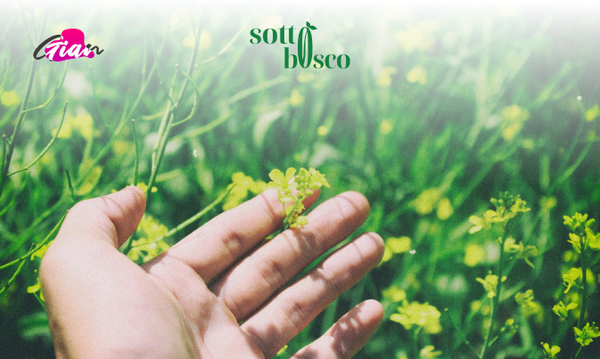 Sottobosco - Ecommerce per prodotti locali